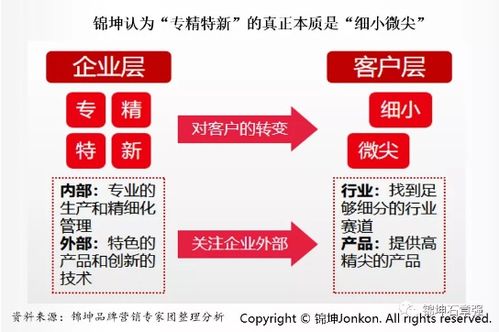 連鎖與互聯網品牌營銷專家 互聯網銷售的未來之路