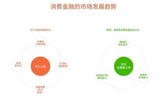 2016年中國互聯網消費金融營銷發展 互聯網銷售渠道的革新與挑戰